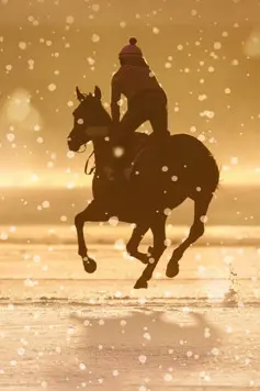 CHRISTMAS AT DEAUVILLE-LA TOUQUES RACECOURSE