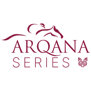 Logo Arqana Series