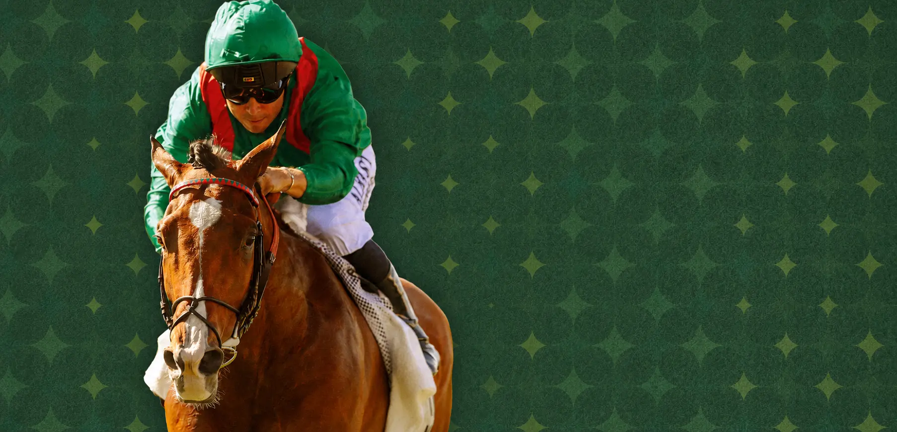 Cheval " Calandagan" sur fond Vert