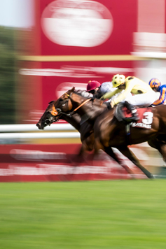 QATAR ARC TRIALS