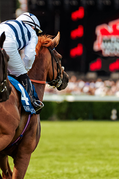 NRJ MUSIC TOUR - EMIRATES POULES D'ESSAI